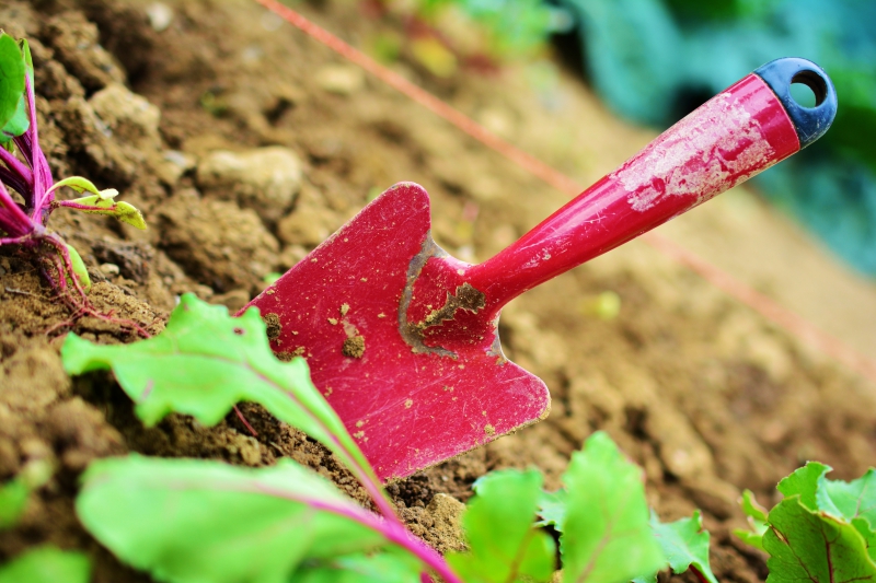 jardinerie-BESSE SUR ISSOLE-min_gardening-2448134